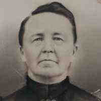 (117 Mo)
 
(Cliquer sur l'image pour l'afficher en pleine taille)